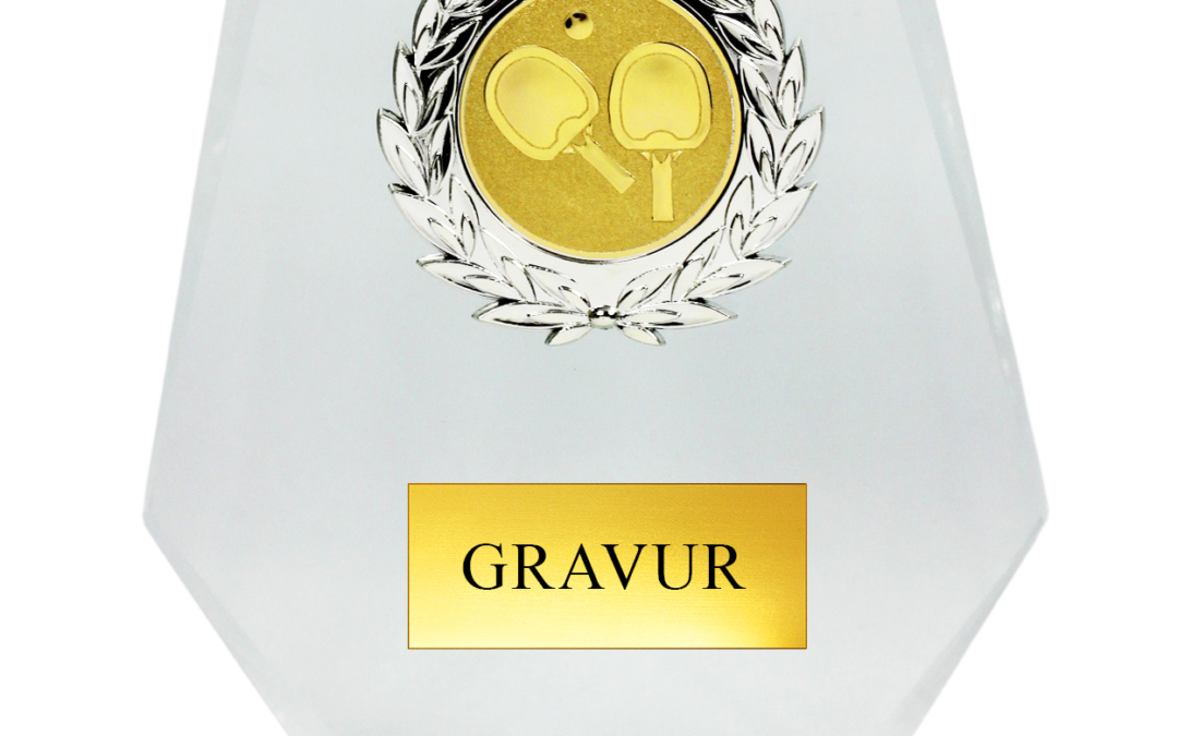 M14 | 3 GRÖSSEN von 16-19cm