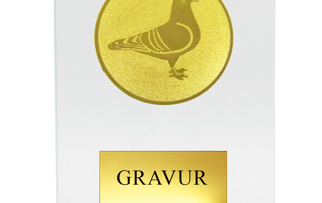 M15 | 3 GRÖSSEN von 13,5-18,5cm